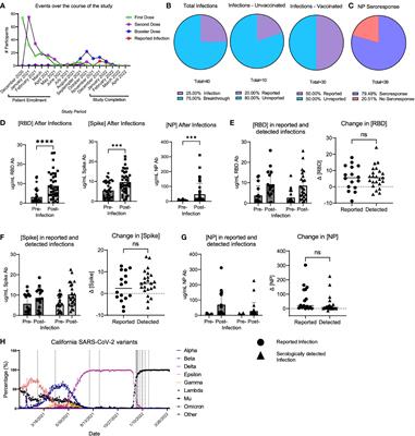 Longitudinal analysis of SARS-CoV-2 infection and vaccination in the LA-SPARTA cohort reveals increased risk of infection in vaccinated Hispanic participants
